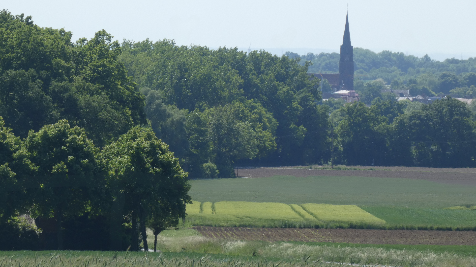 Glnzende Aussichten